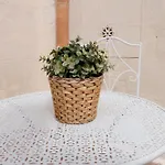 La Terrazza Dei Ricordi *