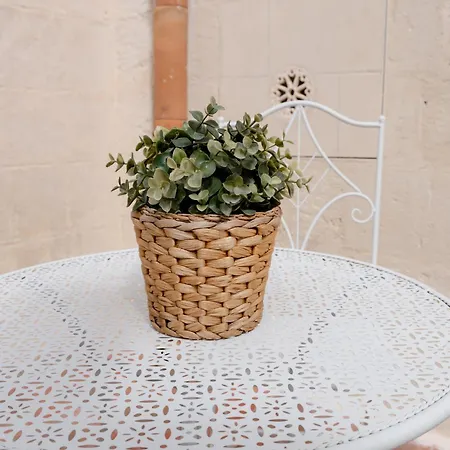 La Terrazza Dei Ricordi *